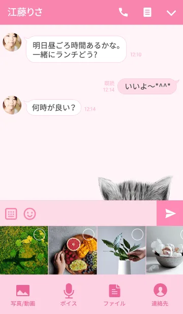 [LINE着せ替え] きよみ専用のネコのなまえ名前着せ替えの画像4