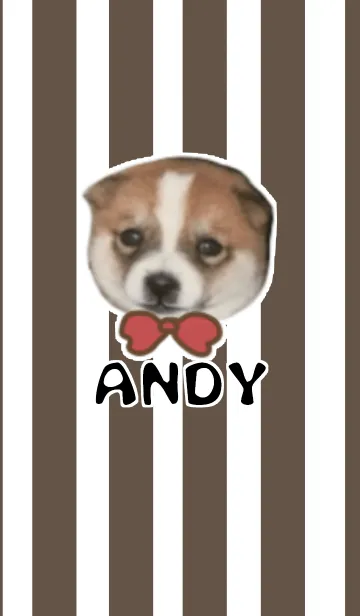 [LINE着せ替え] ANDYの画像1