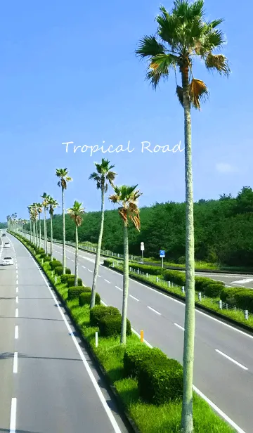 [LINE着せ替え] Tropical Roadの画像1