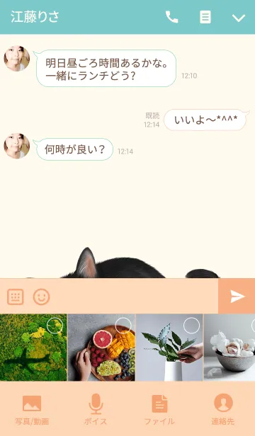 [LINE着せ替え] ひでみ専用の白黒猫のなまえ名前着せ替えの画像4