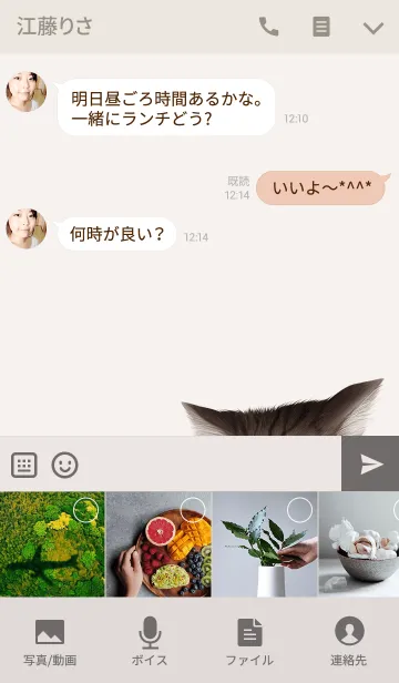 [LINE着せ替え] ありす専用のねこのなまえ名前着せ替えの画像4