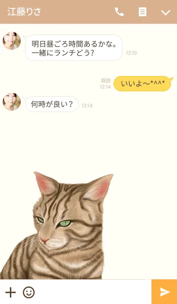 [LINE着せ替え] あいな専用のトラ猫のなまえ名前着せ替えの画像3