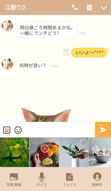 [LINE着せ替え] あいな専用のトラ猫のなまえ名前着せ替えの画像4