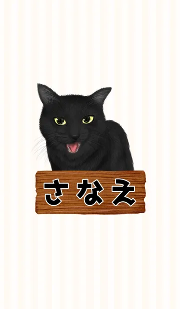 [LINE着せ替え] さなえ専用のねこのなまえ名前着せ替えの画像1