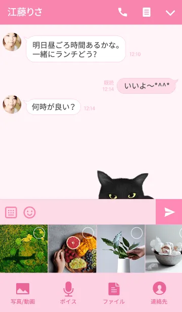 [LINE着せ替え] さなえ専用のねこのなまえ名前着せ替えの画像4