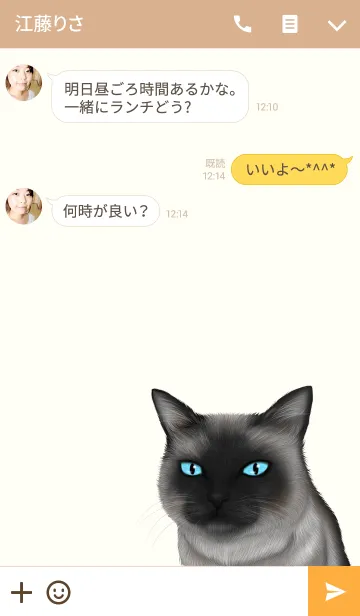 [LINE着せ替え] ありさ専用のねこのなまえ名前着せ替えの画像3