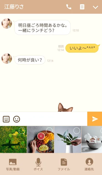 [LINE着せ替え] ちぃちゃん専用のネコのなまえ名前着せ替えの画像4