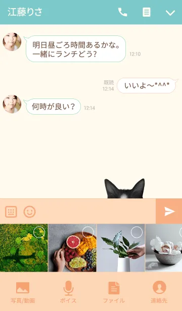 [LINE着せ替え] ともちゃん専用のネコのなまえ名前着せ替えの画像4