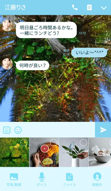 [LINE着せ替え] フェニックスの木の画像4