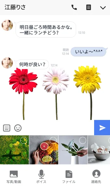 [LINE着せ替え] ガーベラの着せかえの画像4