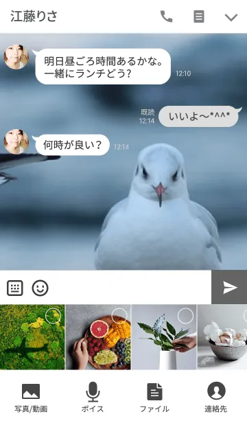 [LINE着せ替え] ゆりかもめ -Black-headed gull-の画像4