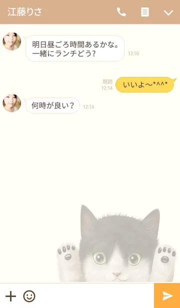 [LINE着せ替え] あきちゃん専用のネコのなまえ名前着せ替えの画像3