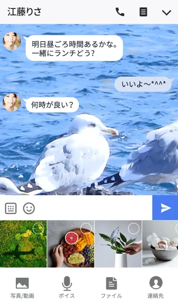 [LINE着せ替え] カモメだよ！の画像4