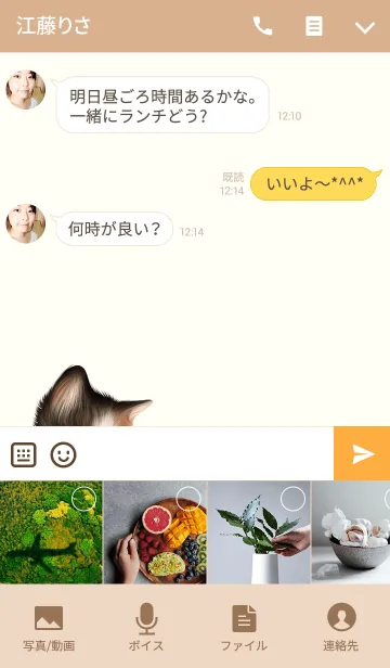 [LINE着せ替え] あきちゃん専用のネコなまえ名前着せ替え♪の画像4