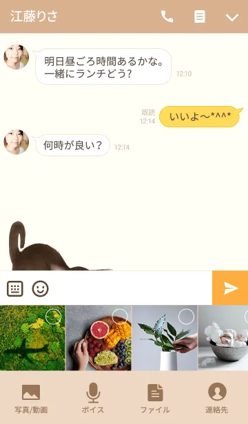 [LINE着せ替え] なおちゃん専用のネコのなまえ名前着せ替えの画像4