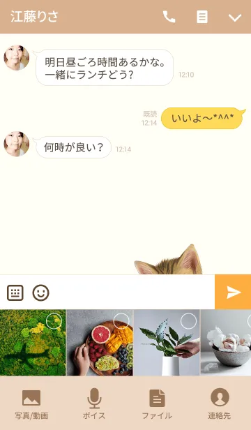 [LINE着せ替え] さっちゃん専用のネコのなまえ名前着せ替えの画像4