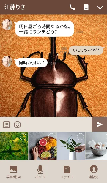 [LINE着せ替え] カブトムシ魂の画像4