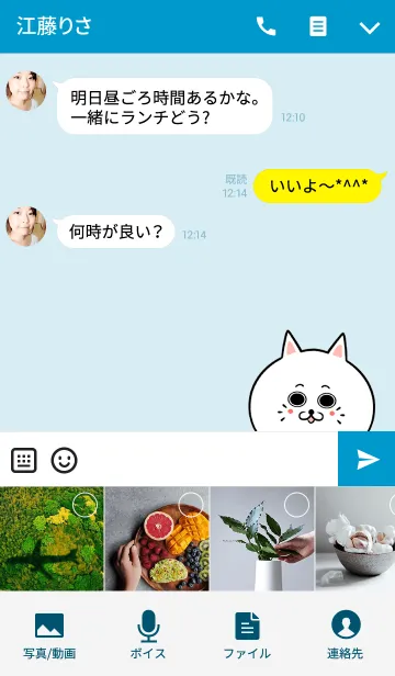 [LINE着せ替え] たいがさん専用かわいいネコの名前着せかえの画像4