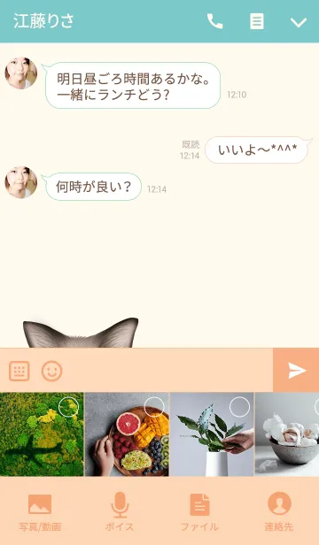 [LINE着せ替え] れいちゃん専用のネコのなまえ名前着せ替えの画像4