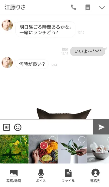 [LINE着せ替え] えみちゃん専用のネコのなまえ名前着せ替えの画像4