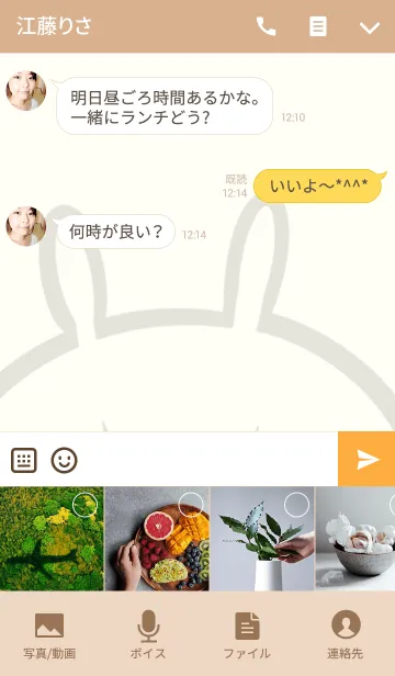 [LINE着せ替え] [はやちゃん]用可愛いウサギの名前着せかえの画像4