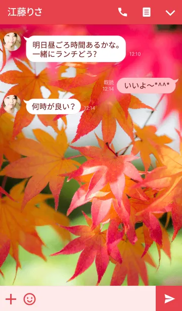 [LINE着せ替え] 紅葉するもみじの画像3