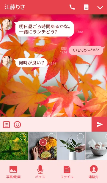 [LINE着せ替え] 紅葉するもみじの画像4