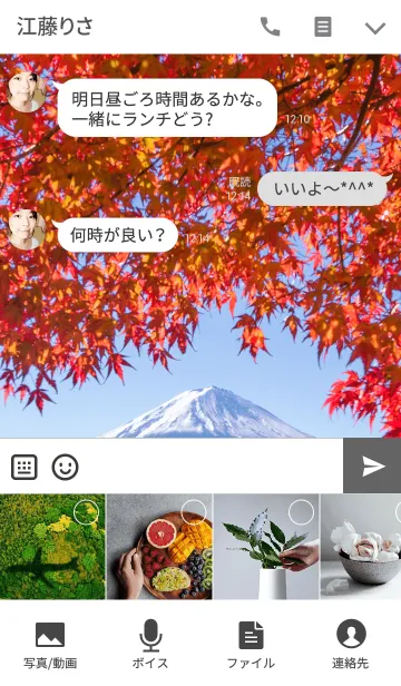 [LINE着せ替え] 秋の富士の画像4