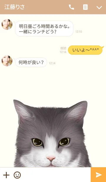 [LINE着せ替え] るみちゃん用のネコのなまえ名前着せ替え♪の画像3