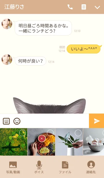 [LINE着せ替え] るみちゃん用のネコのなまえ名前着せ替え♪の画像4