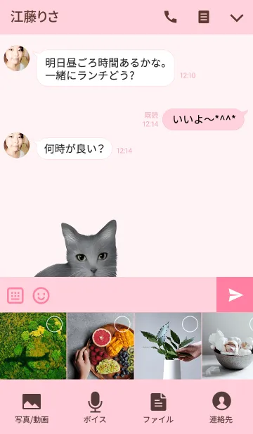 [LINE着せ替え] あいちゃん用のネコのなまえ名前着せ替え♪の画像4