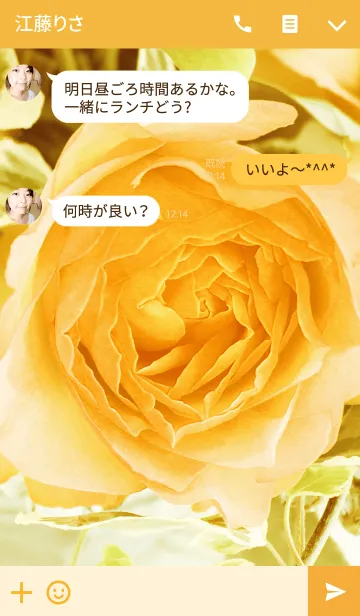 [LINE着せ替え] one rose -orange-の画像3