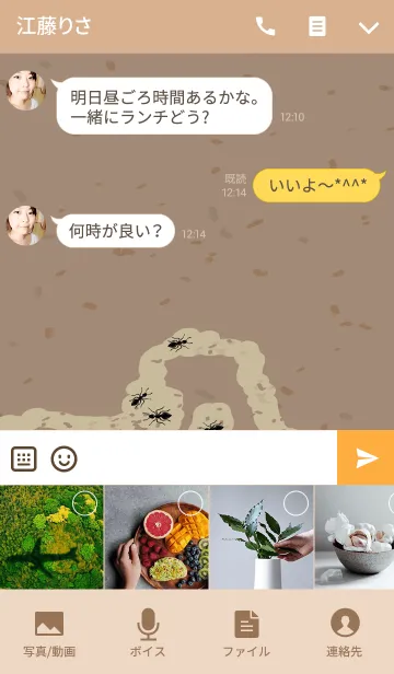 [LINE着せ替え] 私は面白いアリが好きですの画像4