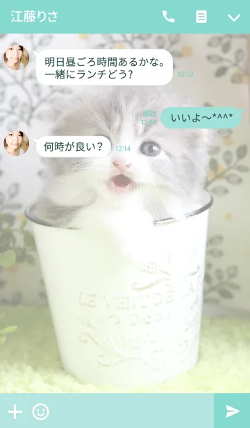 [LINE着せ替え] 癒し仔猫♪スコティッシュの画像3