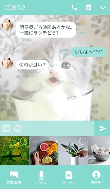 [LINE着せ替え] 癒し仔猫♪スコティッシュの画像4