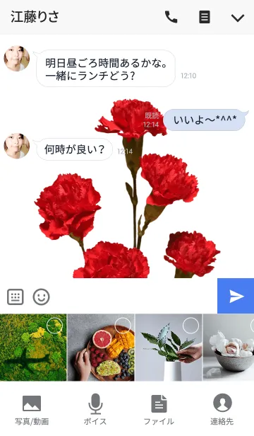 [LINE着せ替え] カーネーションの着せかえの画像4