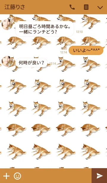 [LINE着せ替え] 柴犬の日常12【くつろぎ】の画像3