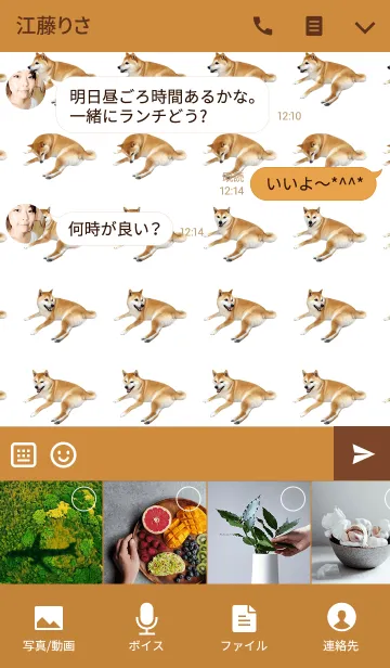 [LINE着せ替え] 柴犬の日常12【くつろぎ】の画像4