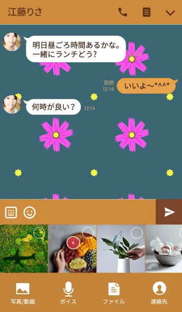 [LINE着せ替え] 秋の花(コスモス3)の画像4