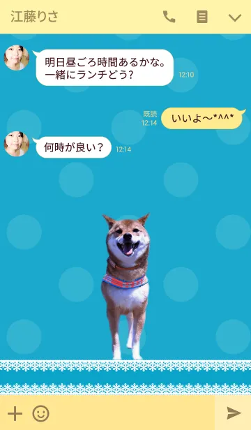 [LINE着せ替え] 柴犬ひなたの画像3