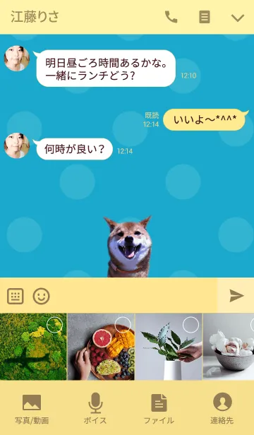 [LINE着せ替え] 柴犬ひなたの画像4