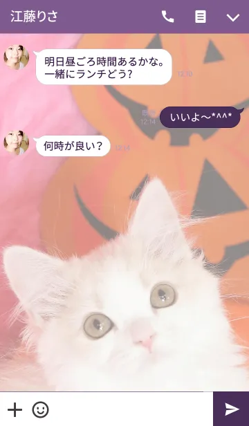 [LINE着せ替え] ハロウィンキャット わんにゃんLOVEの画像3