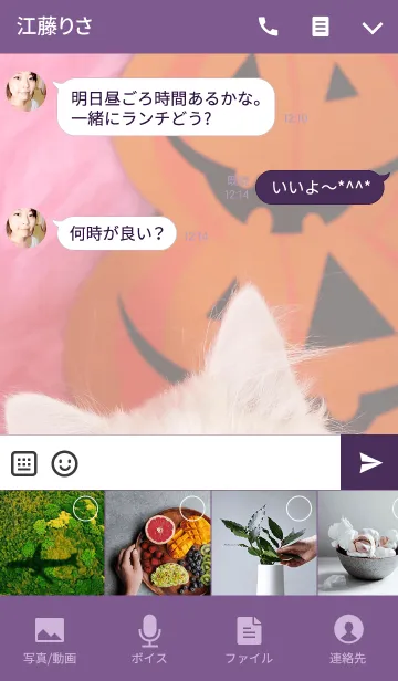 [LINE着せ替え] ハロウィンキャット わんにゃんLOVEの画像4