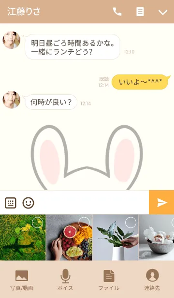 [LINE着せ替え] 高木専用の可愛いうさぎの名前着せ替えの画像4