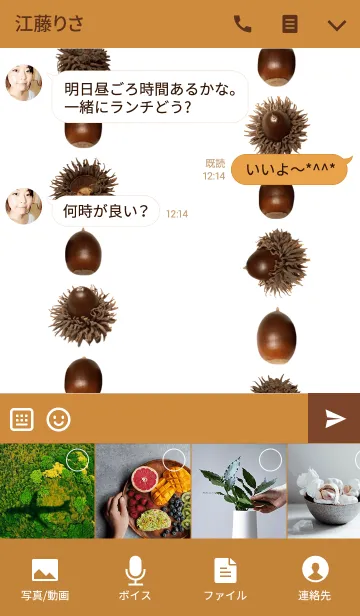 [LINE着せ替え] どんぐりの着せかえの画像4