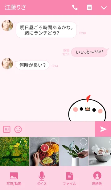 [LINE着せ替え] きょうか用かわいいニワトリの名前着せかえの画像4