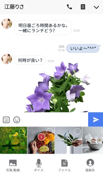 [LINE着せ替え] 桔梗（キキョウ）の着せかえの画像4