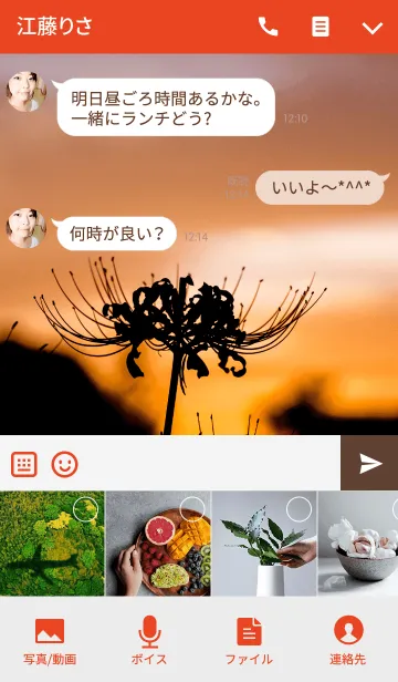 [LINE着せ替え] 夕焼けの彼岸花の画像4