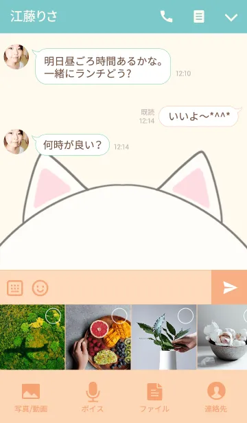 [LINE着せ替え] 河野専用の可愛いねこの名前着せ替えの画像4