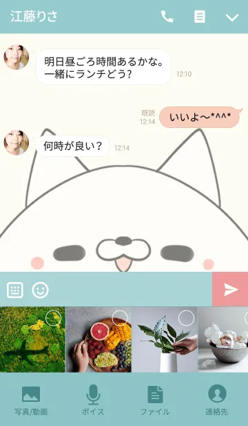 [LINE着せ替え] 佐野専用の可愛いねこの名前着せ替えの画像4